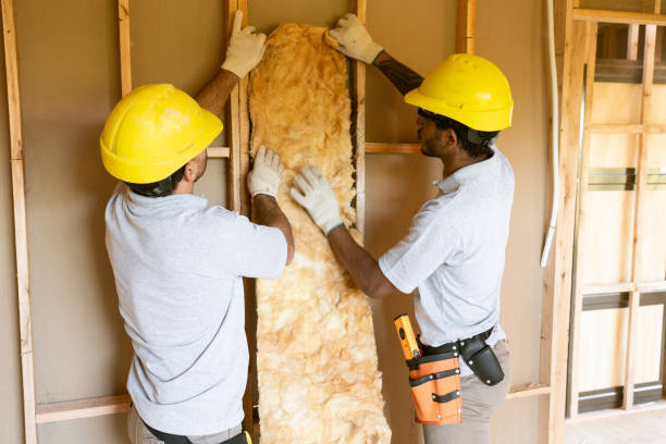 Best Eco-Friendly or Green Insulation Solutions  in Hidden Meadows, CA